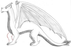 Drache.jpg