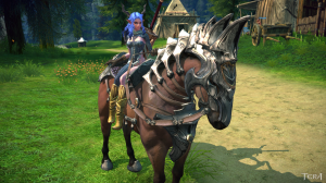 TERA_ScreenShot_20120303_180641.png
