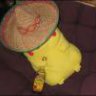 Kachu