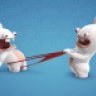 RRRabbiD