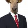 KoenigsFaust