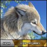 Aquila