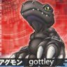 gottley