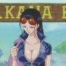 Nico Robin Besamer