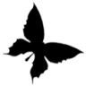 Zerschmetterling