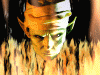 Piccolo51