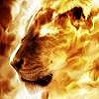 LionAUT