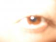 gecco1000