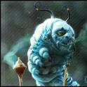 blaueRaupe
