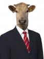 KoenigsFaust
