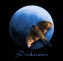 Darkmoon