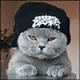 loony.-