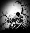 FearRox