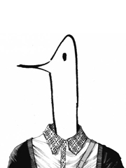 fieberglas