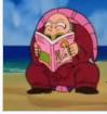 muten-roshi