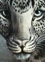 Vidar