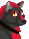 kleinerWolf