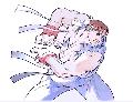 Hadoken