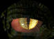 Dragonseye