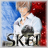 Skei
